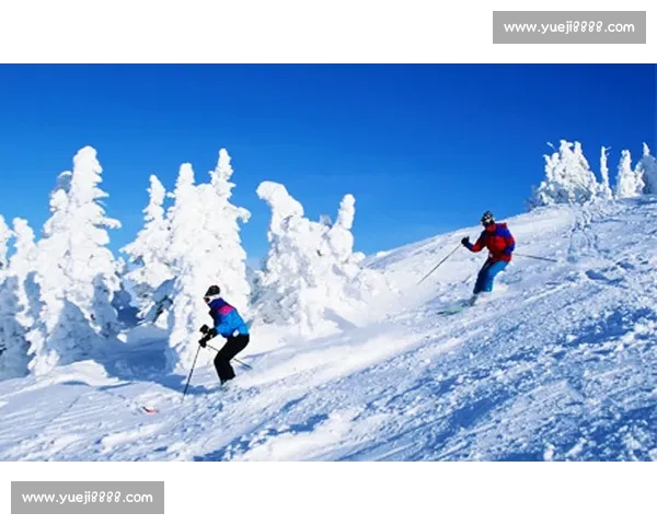 冬季滑雪安全与赛事公平引发社会广泛争议的深度解析
