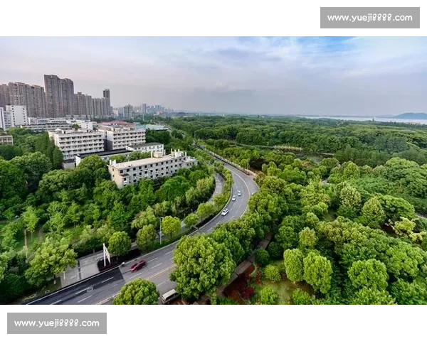 大型综合体育赛事全流程执行运营与现场保障创新实践研究路径探索 大型综合体育赛事全流程执行运营与现场保障创新实践研究路径探索